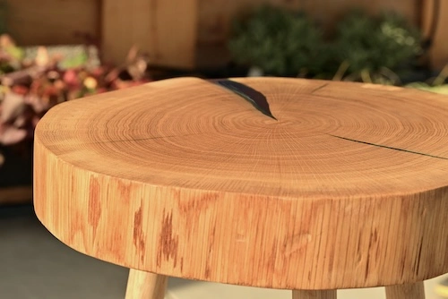 10 einzigartige Geschenkideen für Naturliebhaber