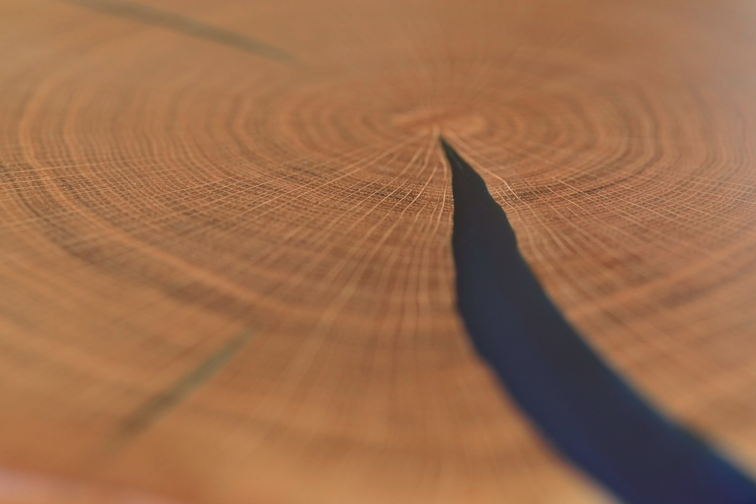 Midnight Oak Heritage 2