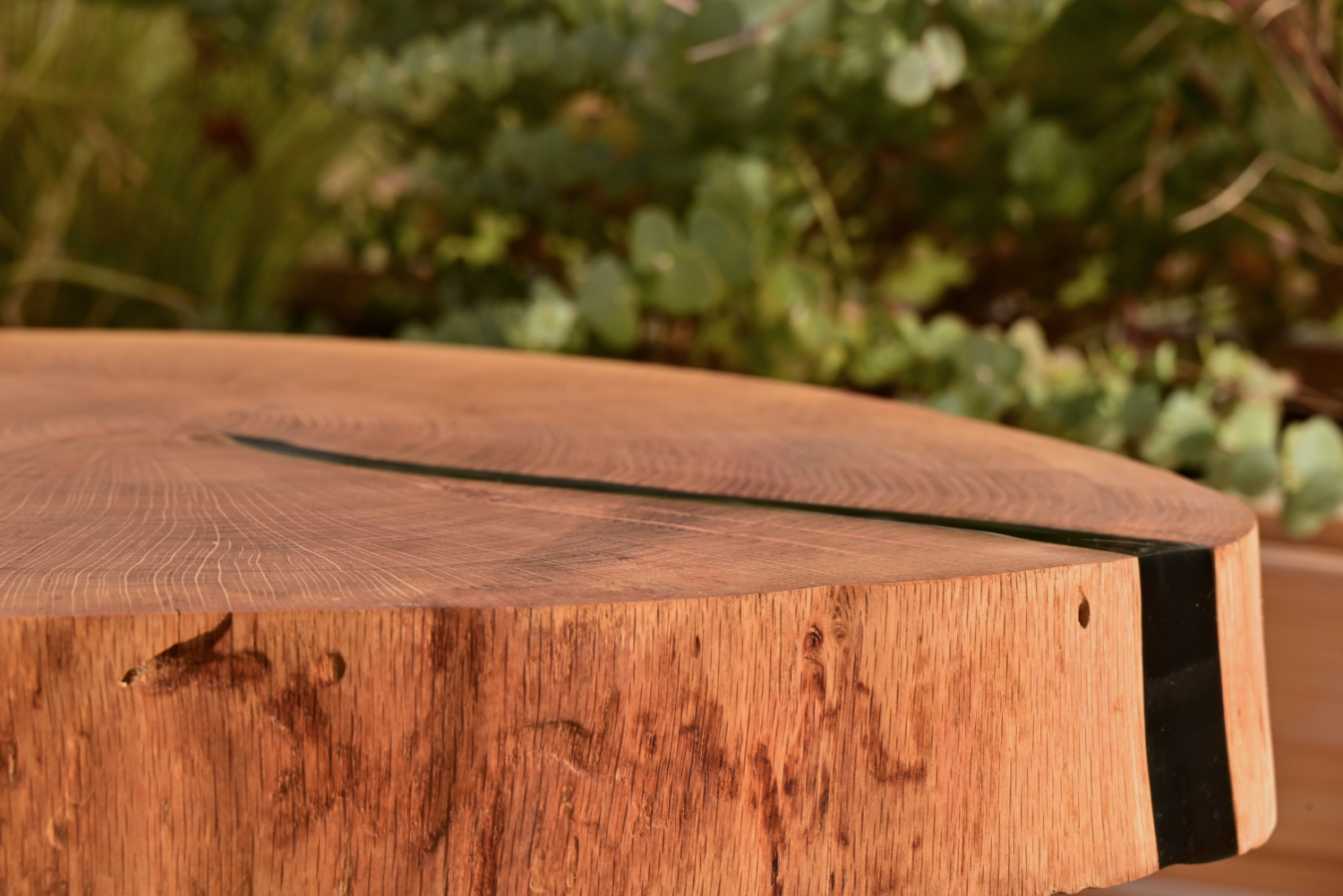 Midnight Oak Heritage 3